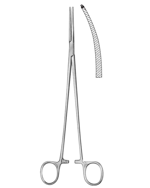 <span>Bengolea</span>