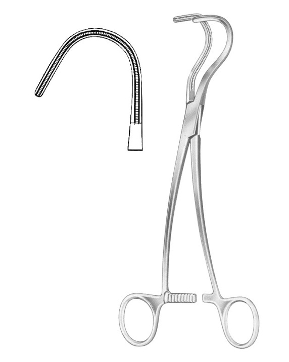 <span>Wylie “J”</span>