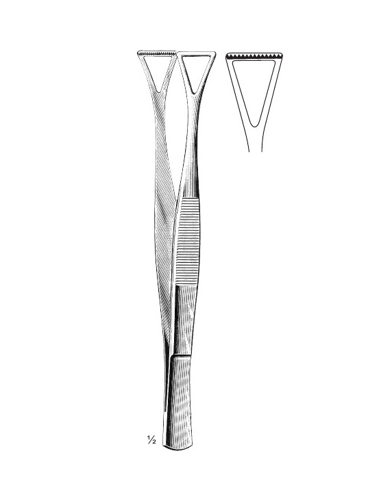 <span>Collin-Duval</span>