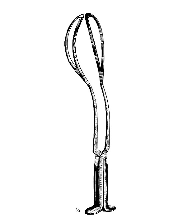 <span>Piper</span>