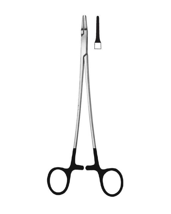 <span>Intracardiac</span>