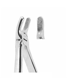 <span>Upper Molars Right</span>