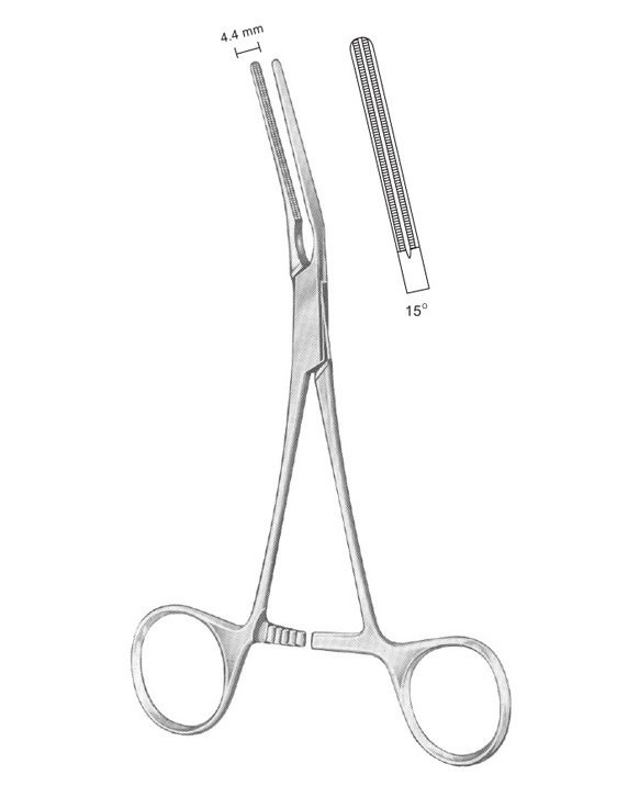 <span>Dardik</span>