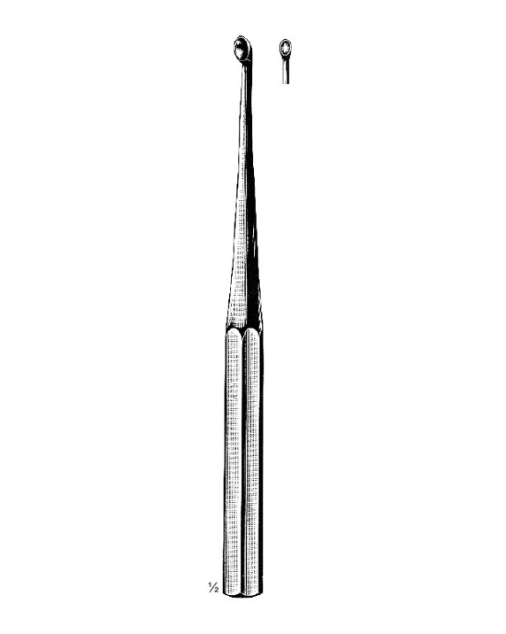 <span>Bruns</span>
