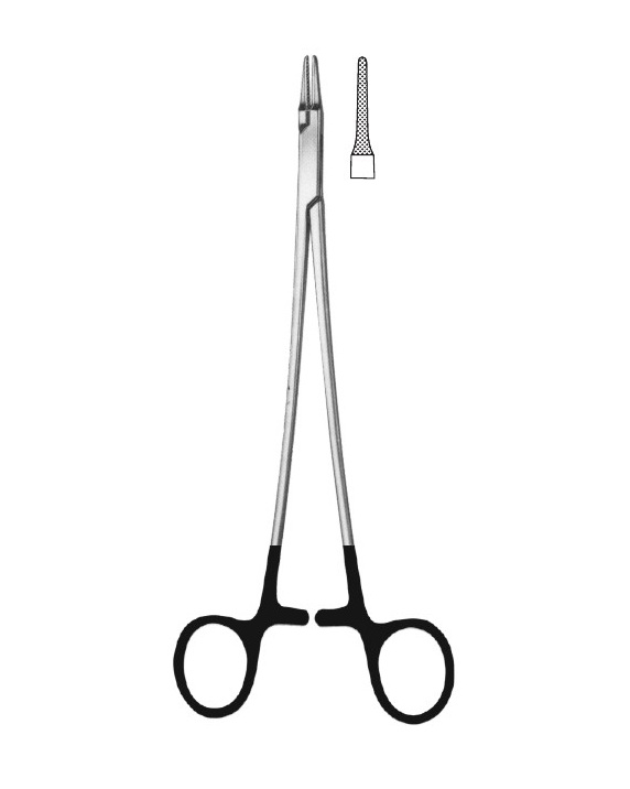 <span>Intracardiac</span>