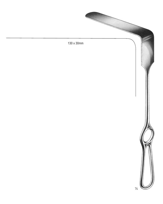 <span>Brunner</span>