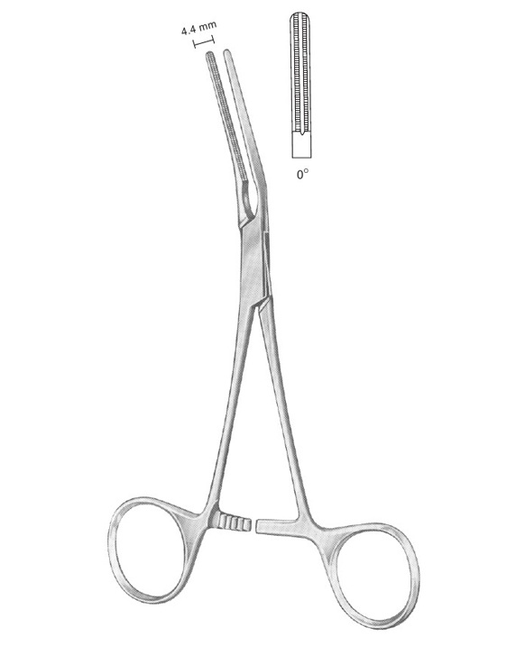 <span>Dardik</span>