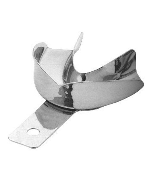 <span>Anatomic</span>