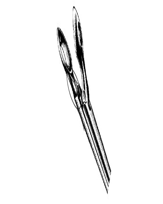 <span>Weil</span>