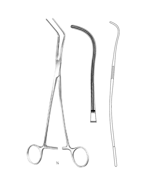 <span>Harken</span>
