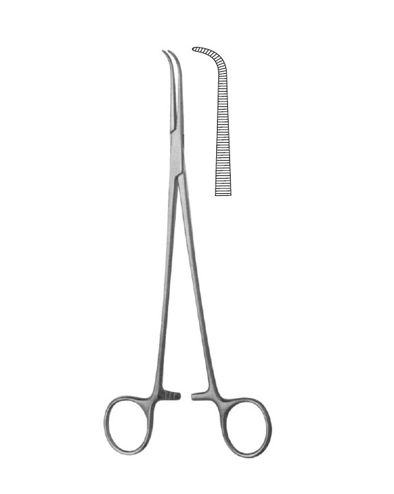 <span>Gemini-Mini (Mixter)</span>