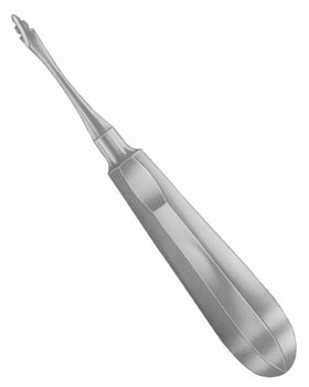 <span>Lower Jaw Right   Side </span>
