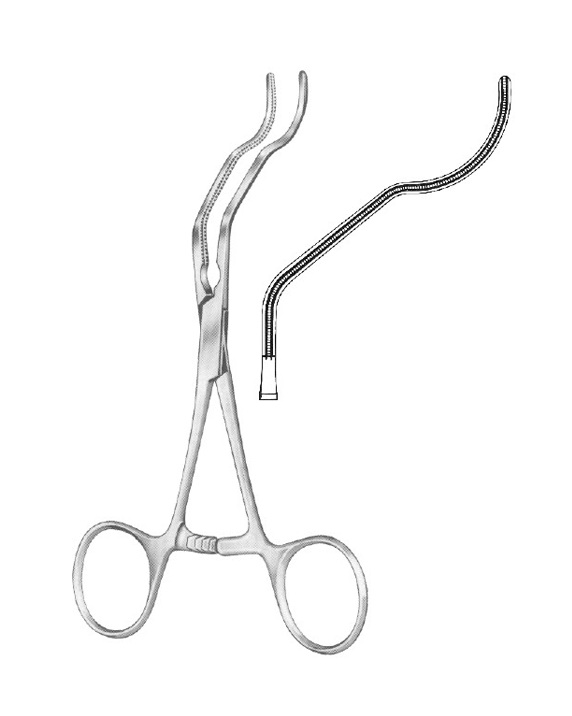 <span>Gregory</span>