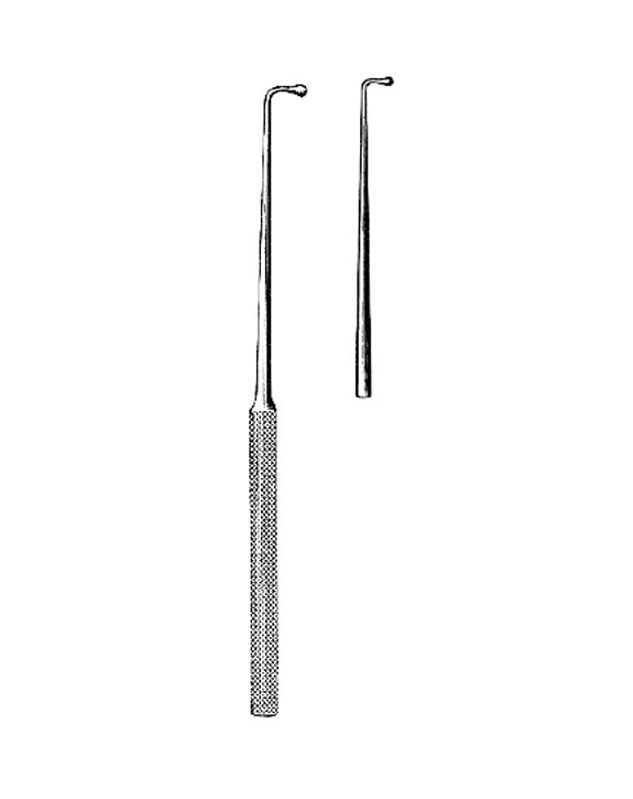 <span>Wagener</span>