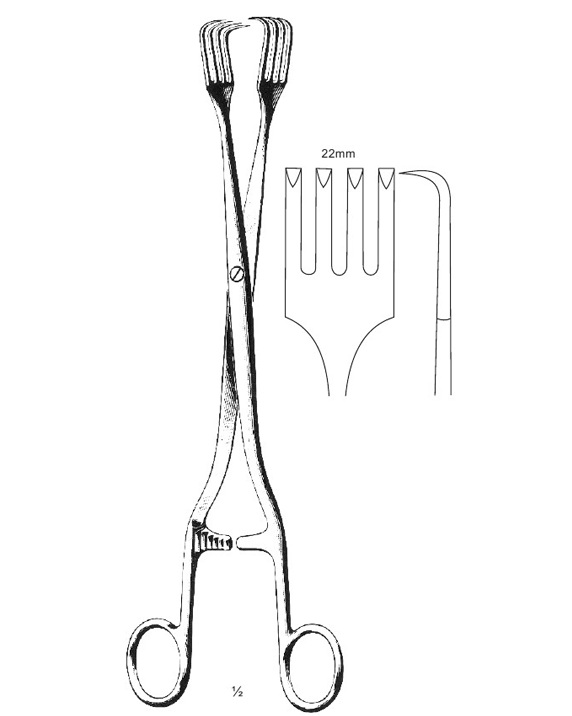 <span>Pratt</span>