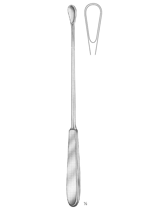 <span>Gourdet</span>