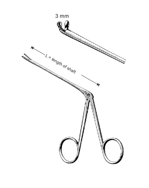 <span>Hartmann</span>