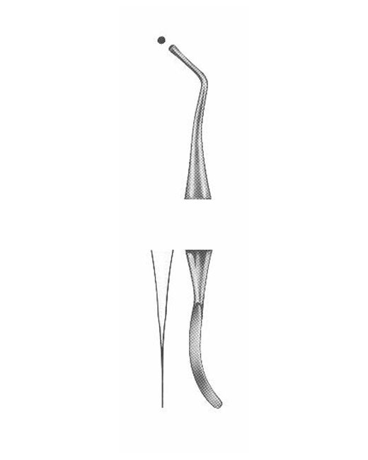 <span>White</span>