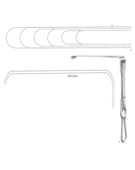 <span>Brunner</span>