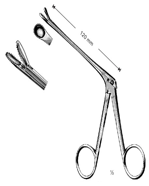 <span>Watson-Williams</span>