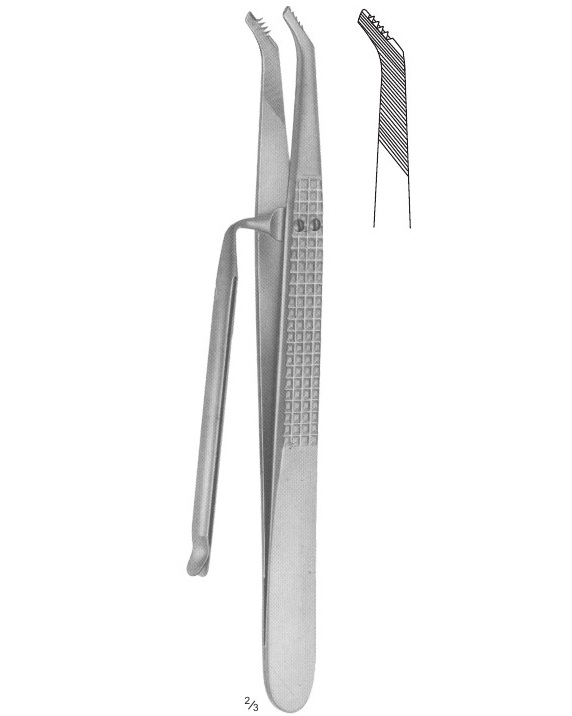 <span>Childe</span>