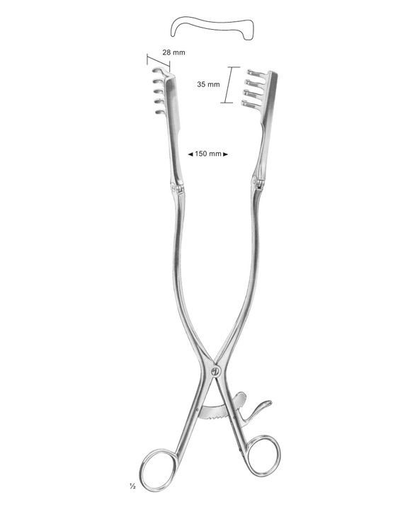 <span>Adson</span>