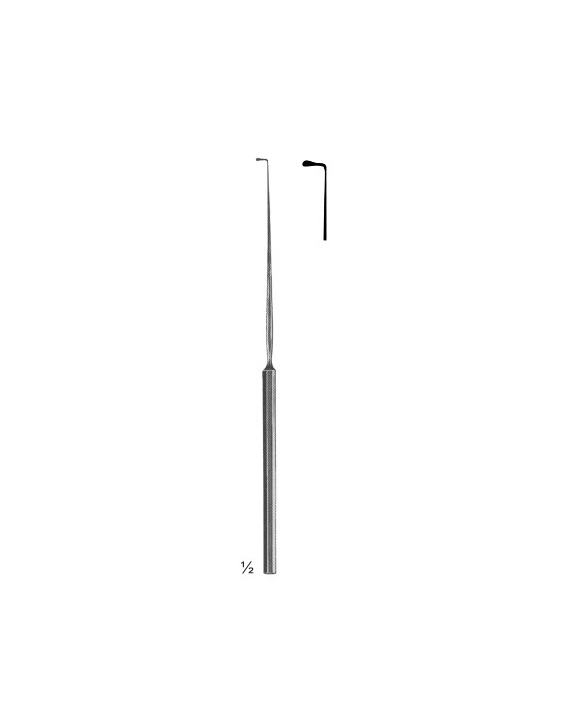 <span>Lucae</span>