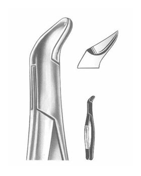 <span>Lower Wisdoms</span>