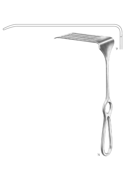 <span>Coryllos</span>