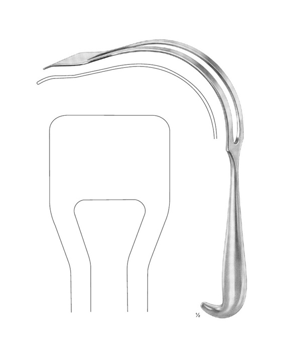 <span>Polloson</span>