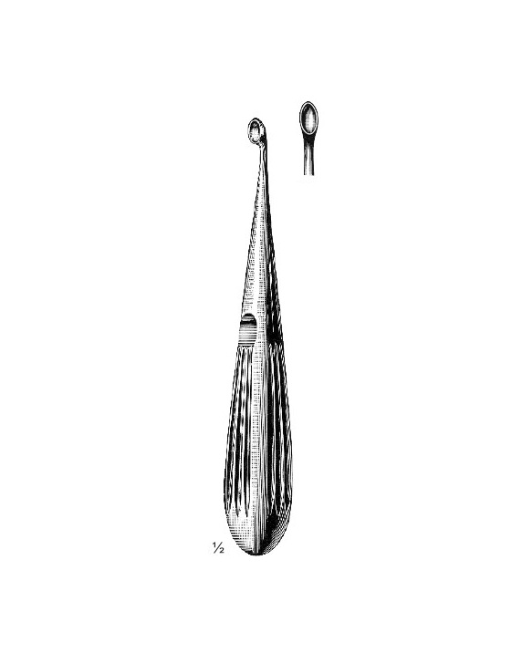 <span>Spratt</span>