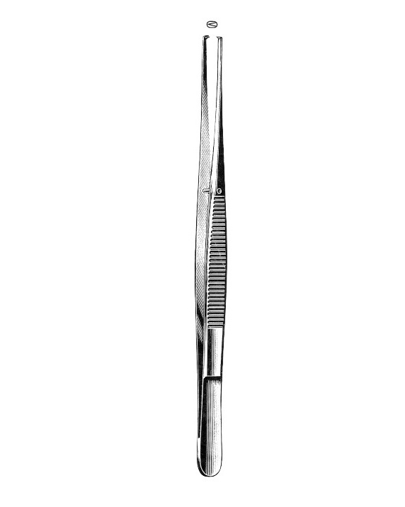 <span>Potts-Smith</span>