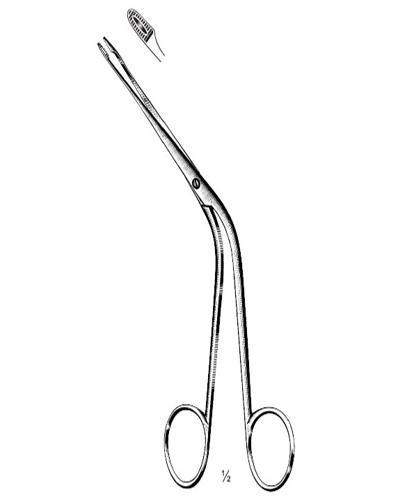 <span>Hartmann</span>