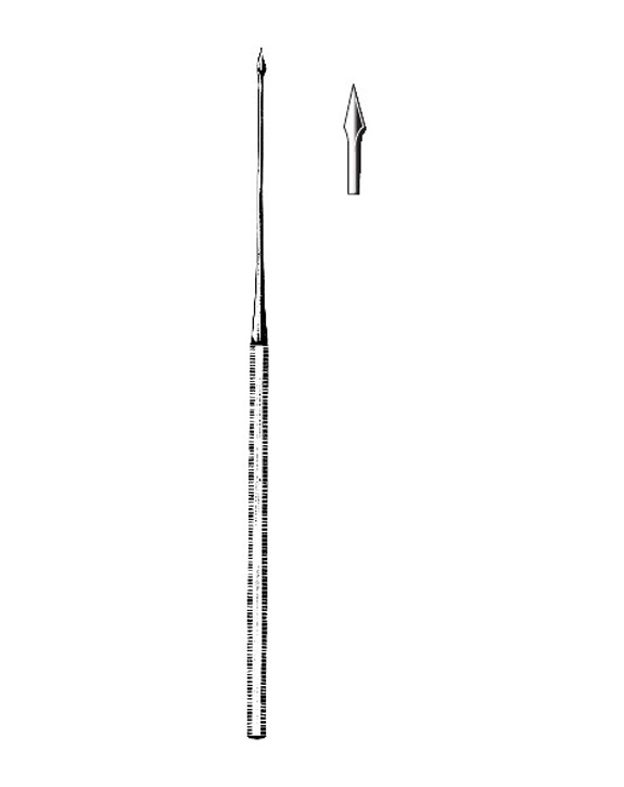 <span>Politzer</span>
