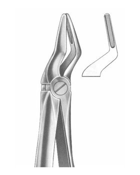 <span>Upper Roots</span>