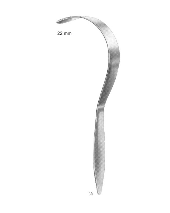 <span>Deaver</span>