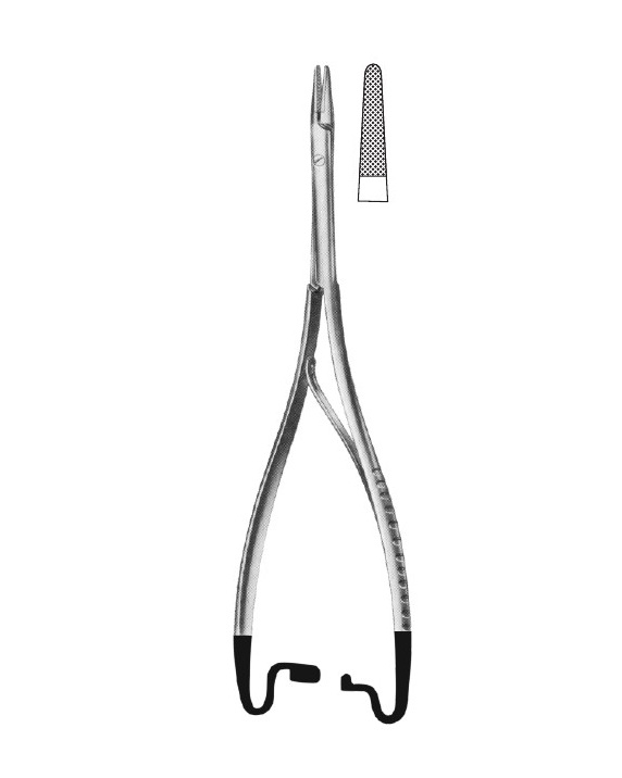 <span>Hösel</span>