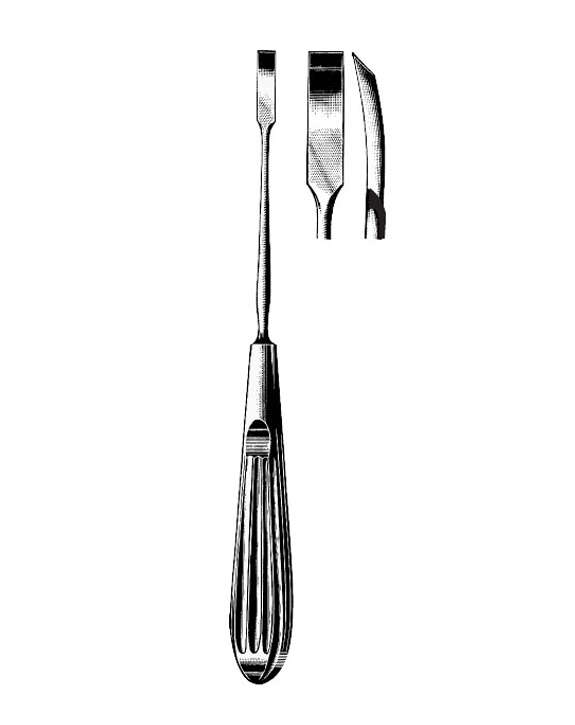 <span>Lempert</span>