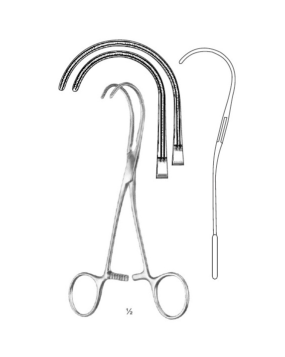 <span>Blood Vessel Forceps & Clamps</span>