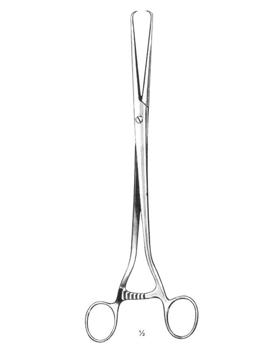 <span>Collin-Pozzi</span>