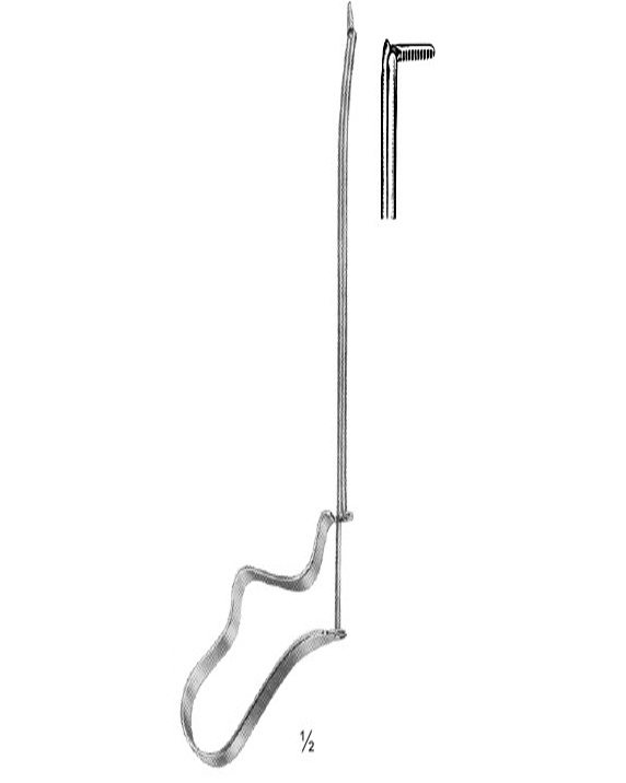 <span>Quire</span>