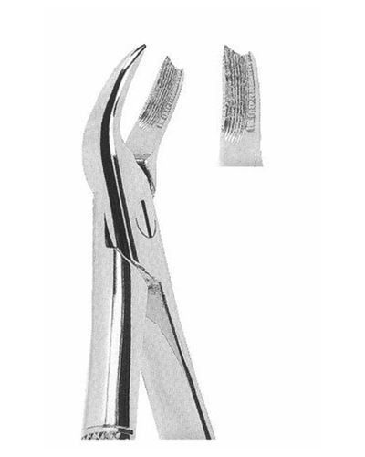 Upper Molars Right 