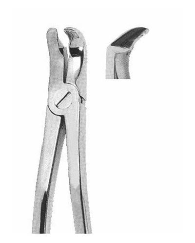 Lower Third Molars