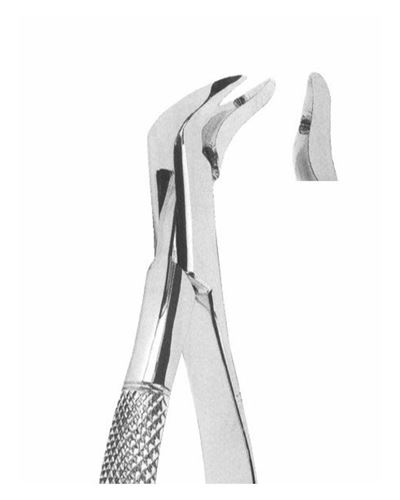 Lower Third Molars