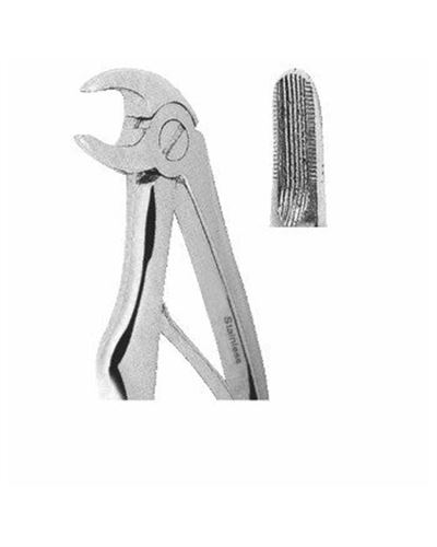 Lower Incisors