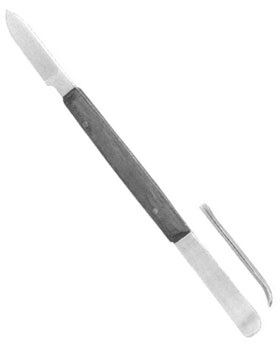 Fahnenstock