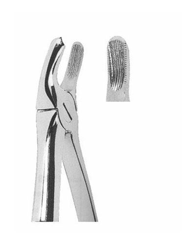 Upper Molars Left 