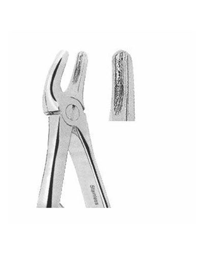 Upper Premolars