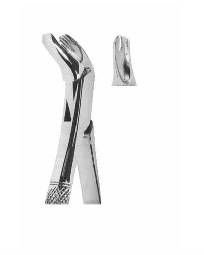 Lower Molars 
